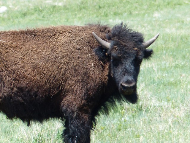 Up close and personal