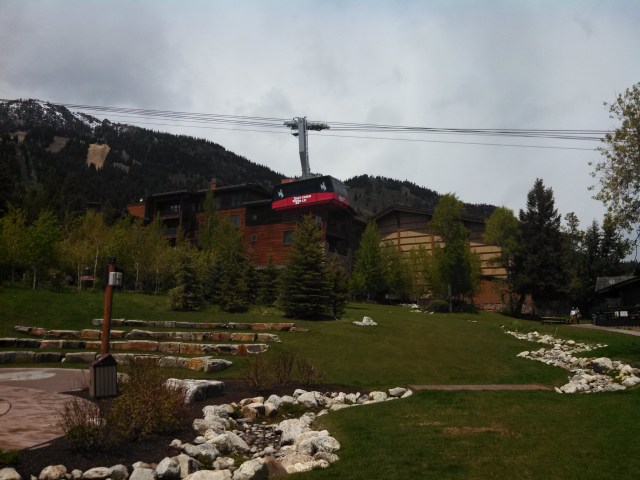 IMG_20130530_135535_239